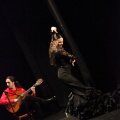 Flamenco solidario en Castellón