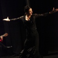 Flamenco solidario en Castellón