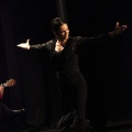 Flamenco solidario en Castellón