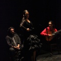 Flamenco solidario en Castellón