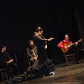 Flamenco solidario en Castellón