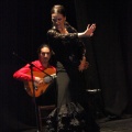 Flamenco solidario en Castellón