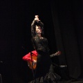 Flamenco solidario en Castellón