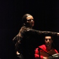 Flamenco solidario en Castellón