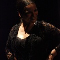 Flamenco solidario en Castellón