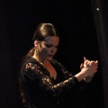 Flamenco solidario en Castellón