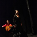 Flamenco solidario en Castellón