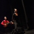 Flamenco solidario en Castellón