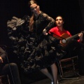 Flamenco solidario en Castellón