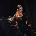 Flamenco solidario en Castellón