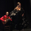 Flamenco solidario en Castellón