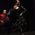 Flamenco solidario en Castellón