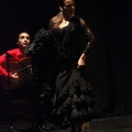 Flamenco solidario en Castellón
