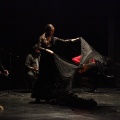 Flamenco solidario en Castellón