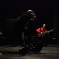 Flamenco solidario en Castellón