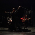Flamenco solidario en Castellón