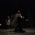 Flamenco solidario en Castellón