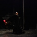 Flamenco solidario en Castellón