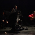 Flamenco solidario en Castellón