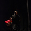 Flamenco solidario en Castellón