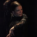 Flamenco solidario en Castellón