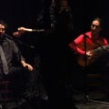 Flamenco solidario en Castellón