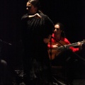 Flamenco solidario en Castellón