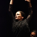 Flamenco solidario en Castellón