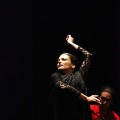 Flamenco solidario en Castellón