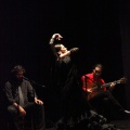 Flamenco solidario en Castellón