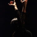 Flamenco solidario en Castellón