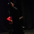 Flamenco solidario en Castellón