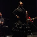 Flamenco solidario en Castellón