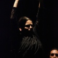 Flamenco solidario en Castellón