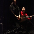 Flamenco solidario en Castellón