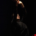 Flamenco solidario en Castellón