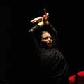 Flamenco solidario en Castellón