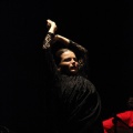 Flamenco solidario en Castellón