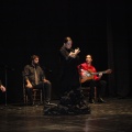 Flamenco solidario en Castellón