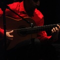Flamenco solidario en Castellón