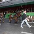 Castellón, Cabalgata Pregó Magdalena 2012