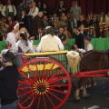 Pregó infantil 2012