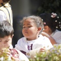 Pregó infantil 2012