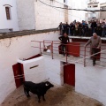 Sorteo toros viernes