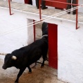 Sorteo toros viernes