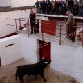 Sorteo toros viernes