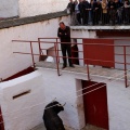 Sorteo toros viernes
