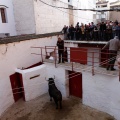 Sorteo toros viernes