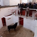 Sorteo toros viernes