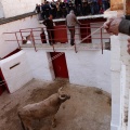 Sorteo toros viernes